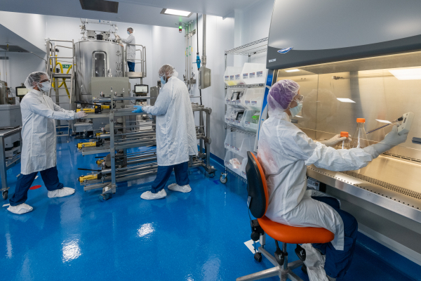 Scientist working inside Labconco Class II, Type A2 Biosafety Cabinet inside the cGMP laboratory.